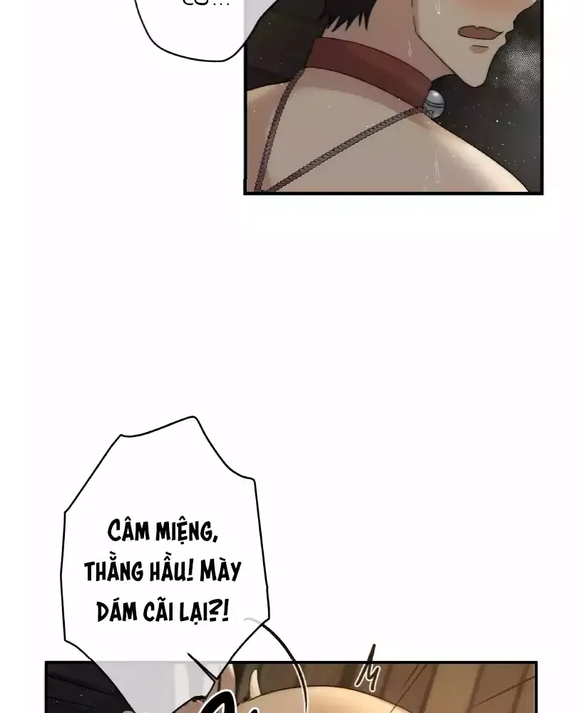 Chương 5 - Trang 46