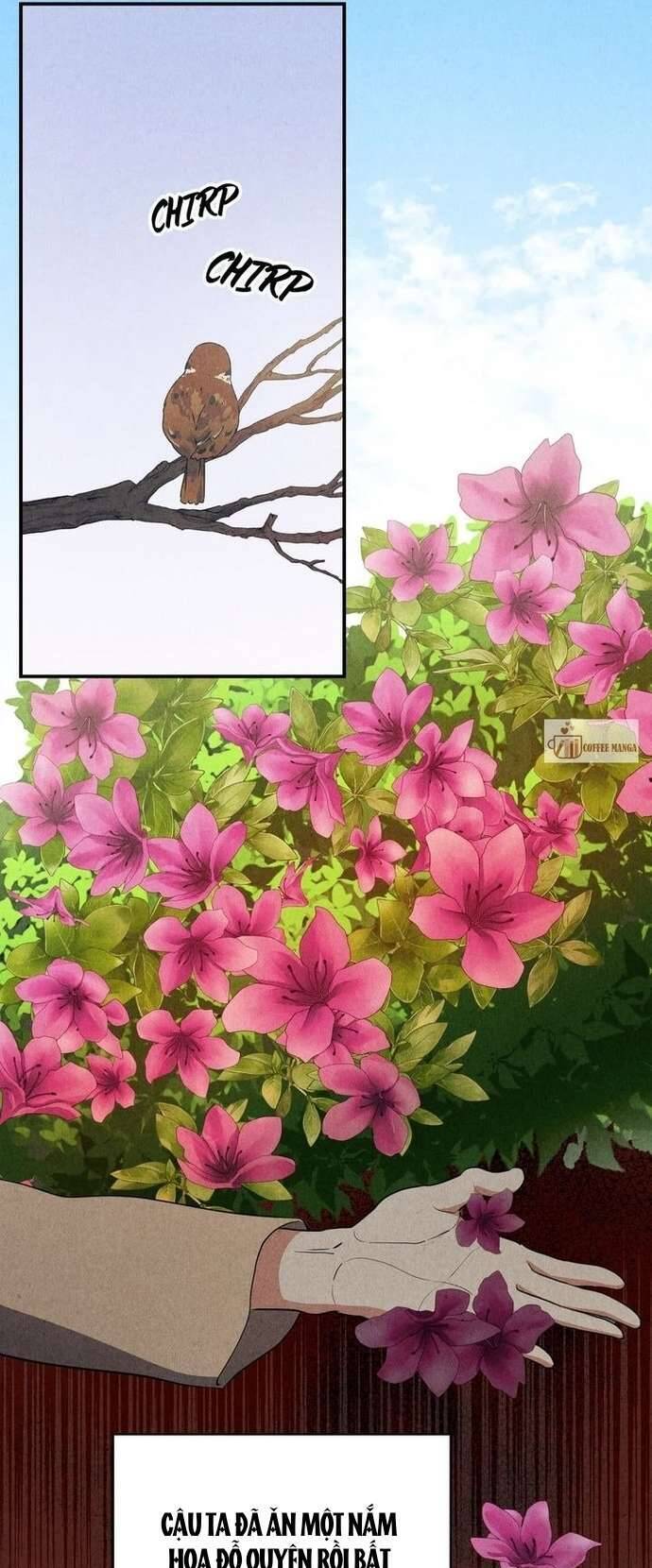 Chương 18 - Trang 28
