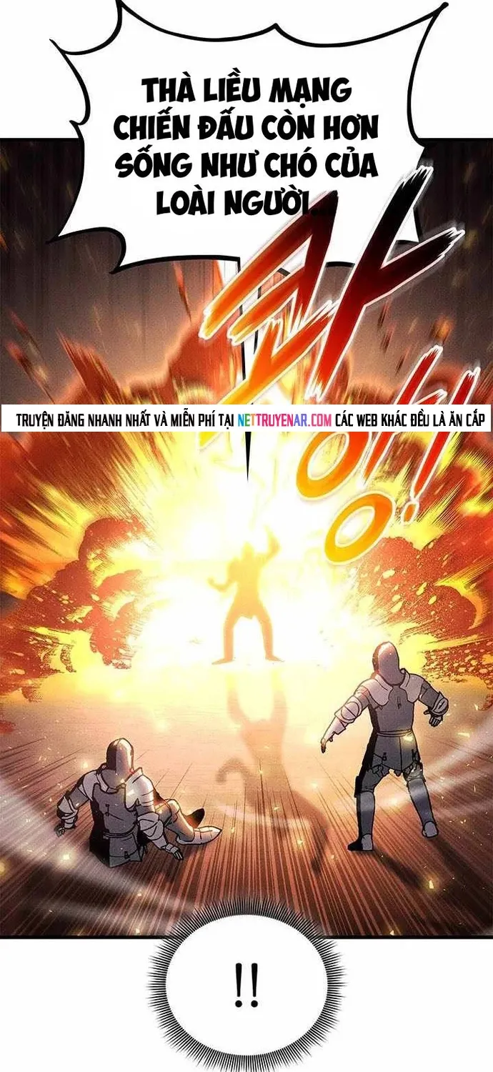 Chapter 239 - Trang 12