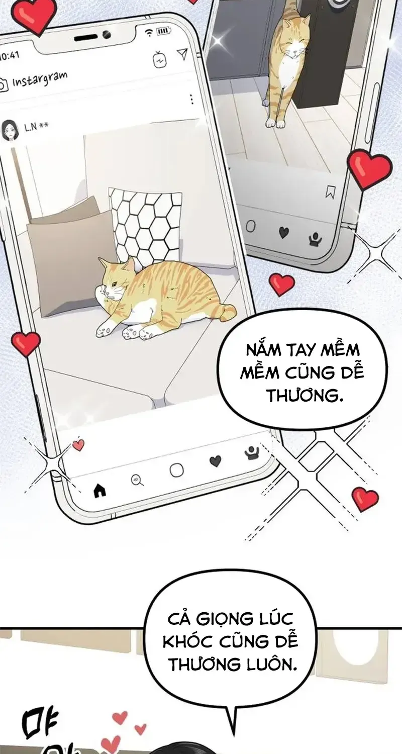 Chương 7 - Trang 41
