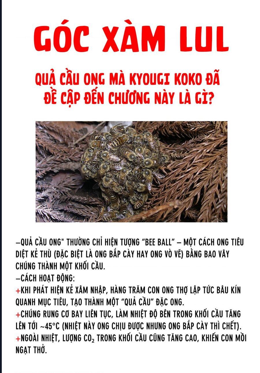 Chương 115 - Trang 10
