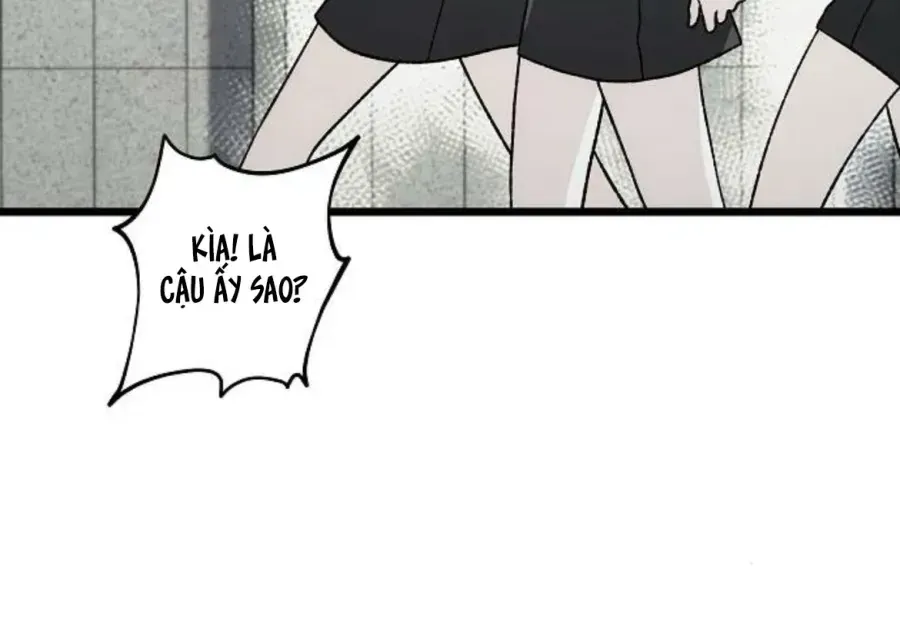 Chương 2 - Trang 19