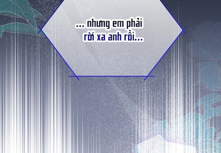 Trang 113
