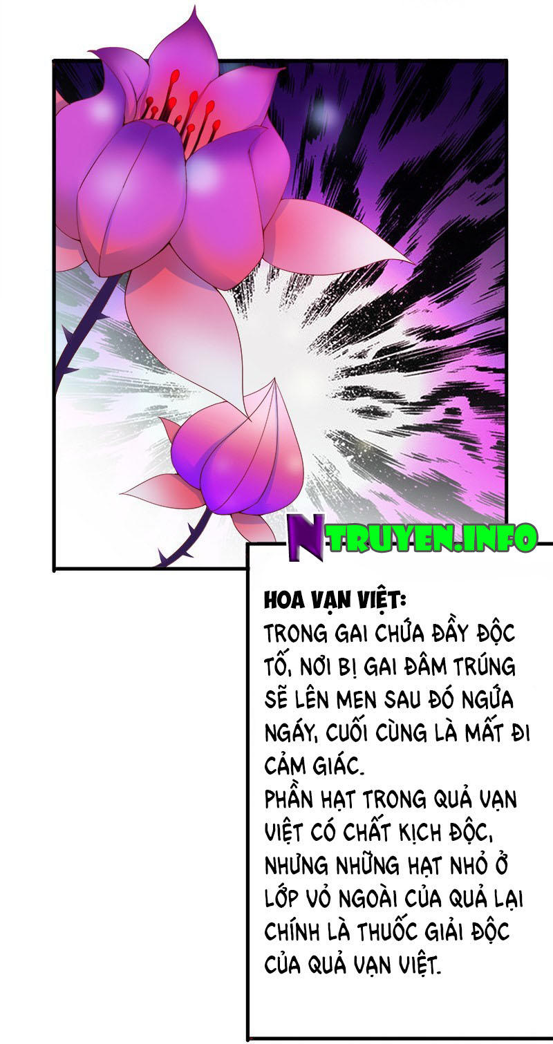 Chương 13 - Trang 19