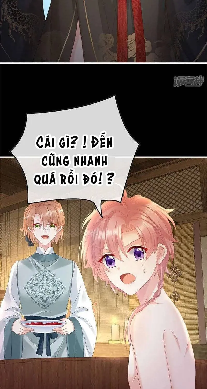 Chương 104 - Trang 48