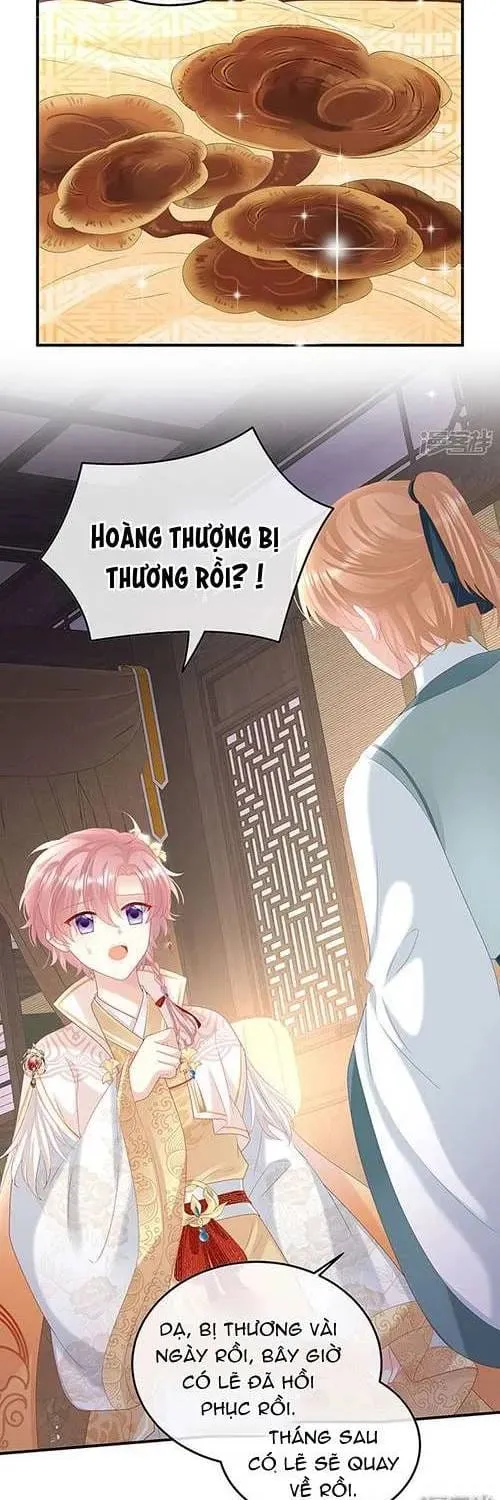 Chương 113 - Trang 3