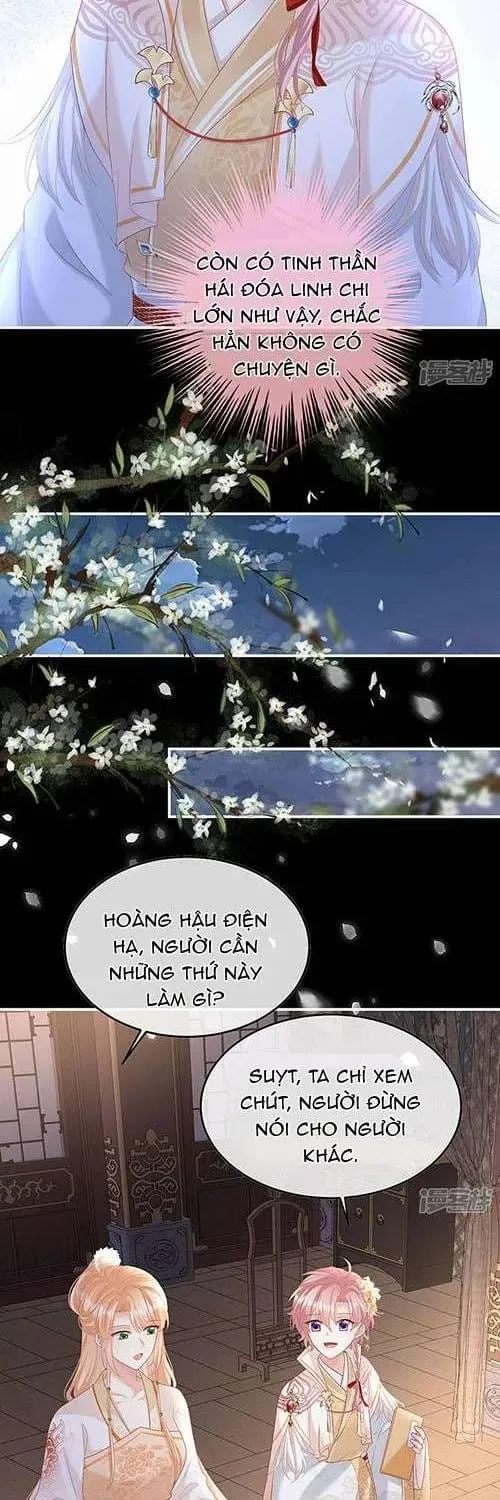 Chương 113 - Trang 5
