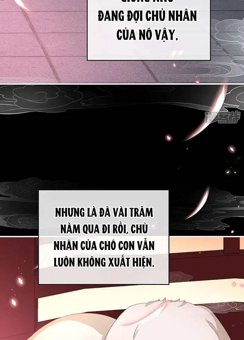 Chương 141 - Trang 19