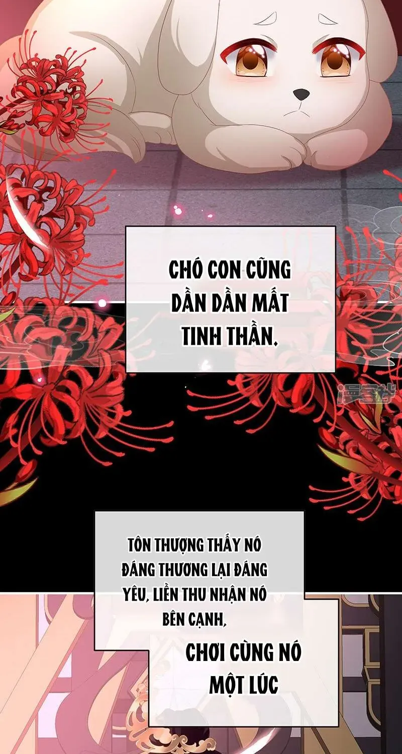 Chương 141 - Trang 20