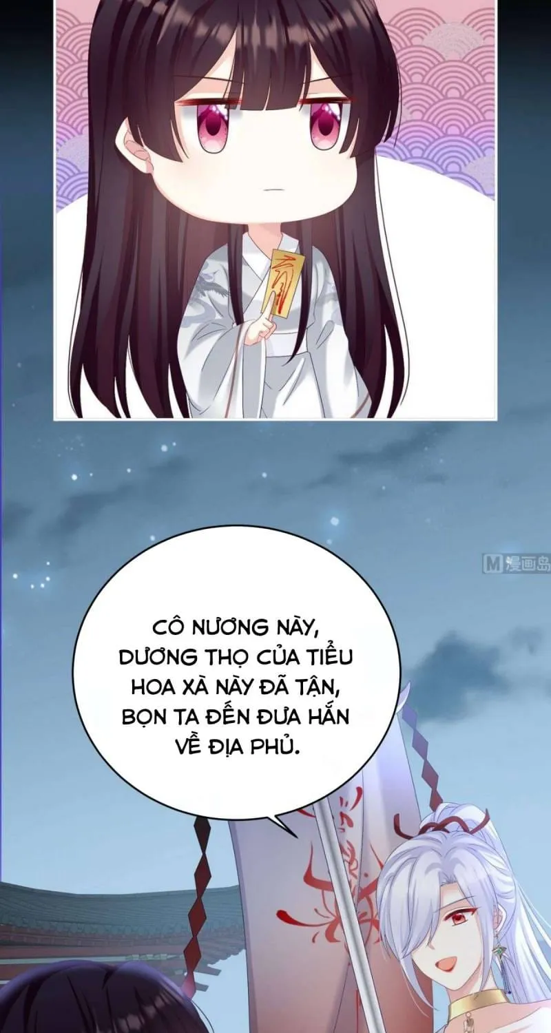Chương 74 - Trang 41
