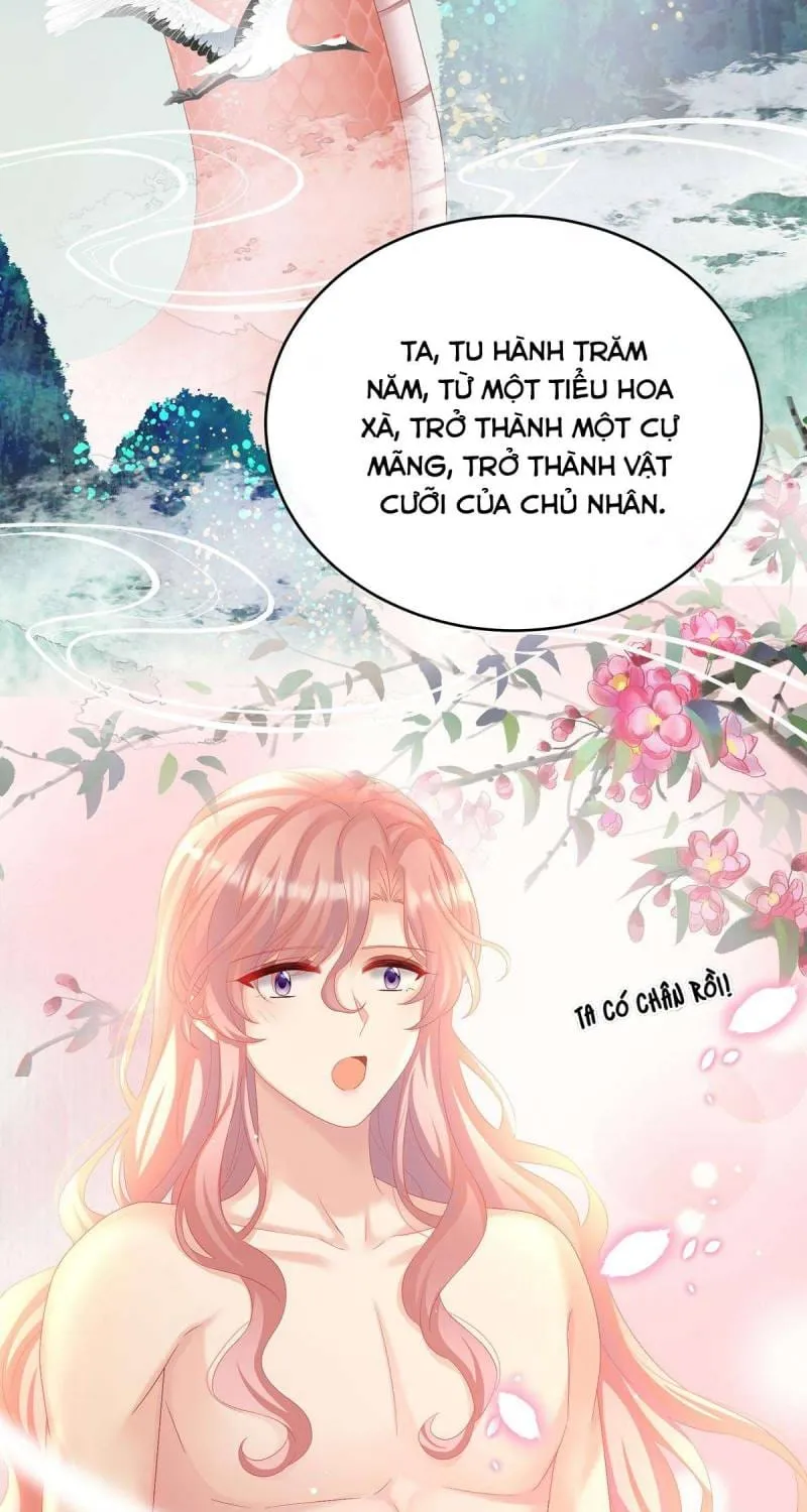 Chương 77 - Trang 13