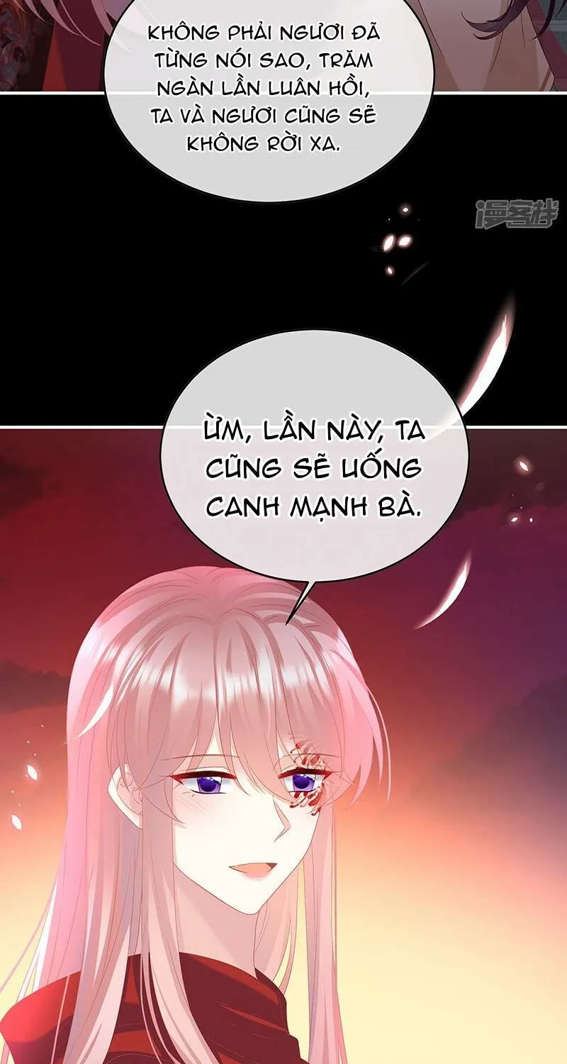 Chương 147 - Trang 24