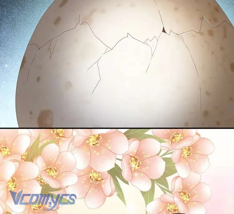 Chương 62 - Trang 16