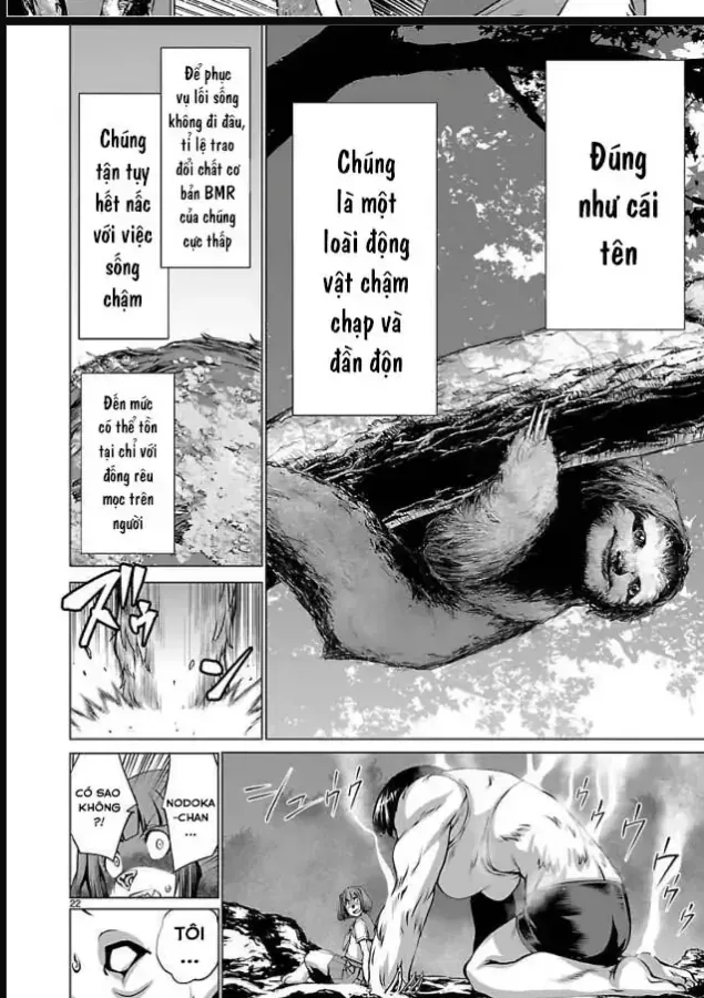 Chương 50 - Trang 22
