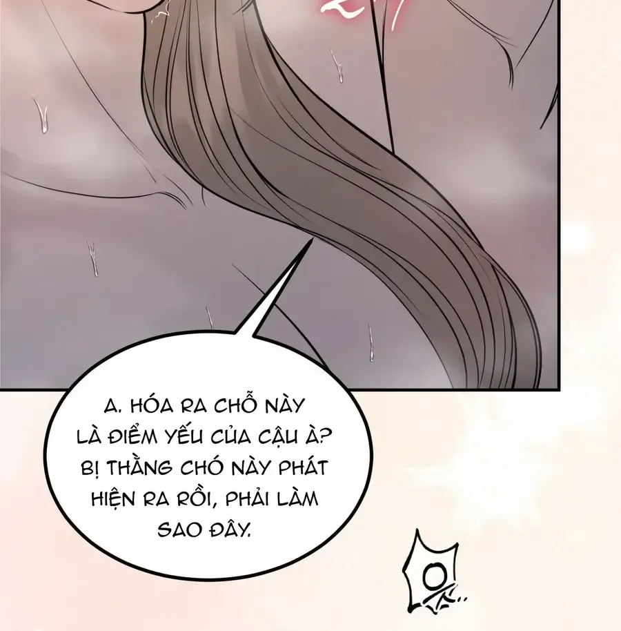 Chương 22 - Trang 50