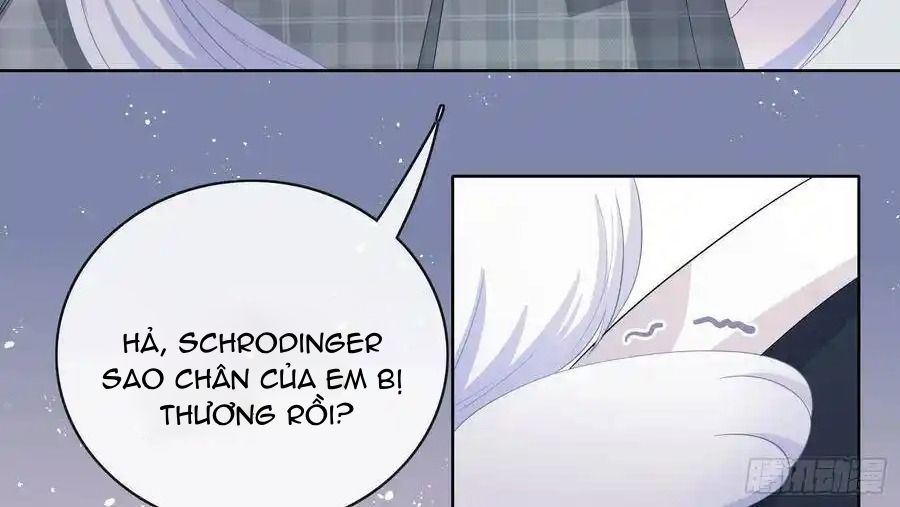 Trang 43