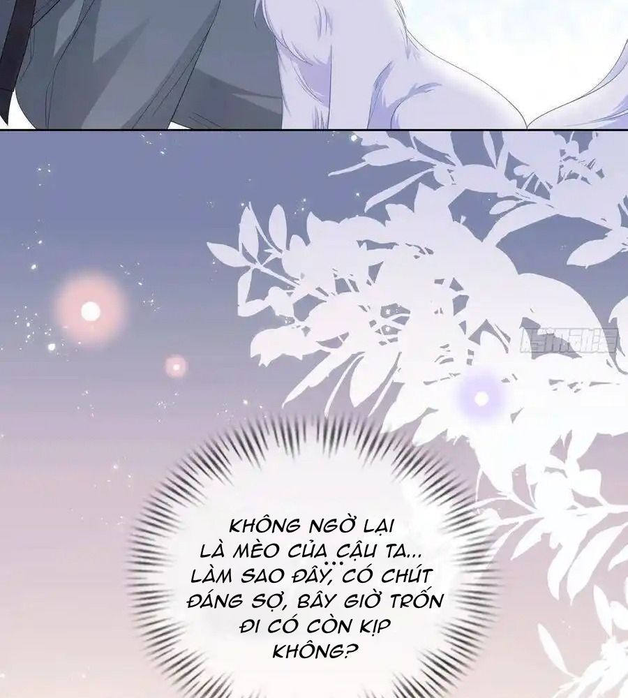 Trang 53