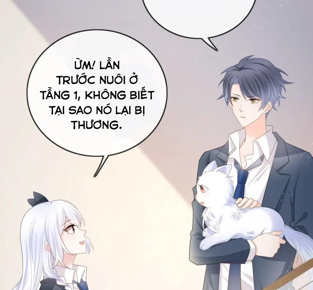 Trang 46
