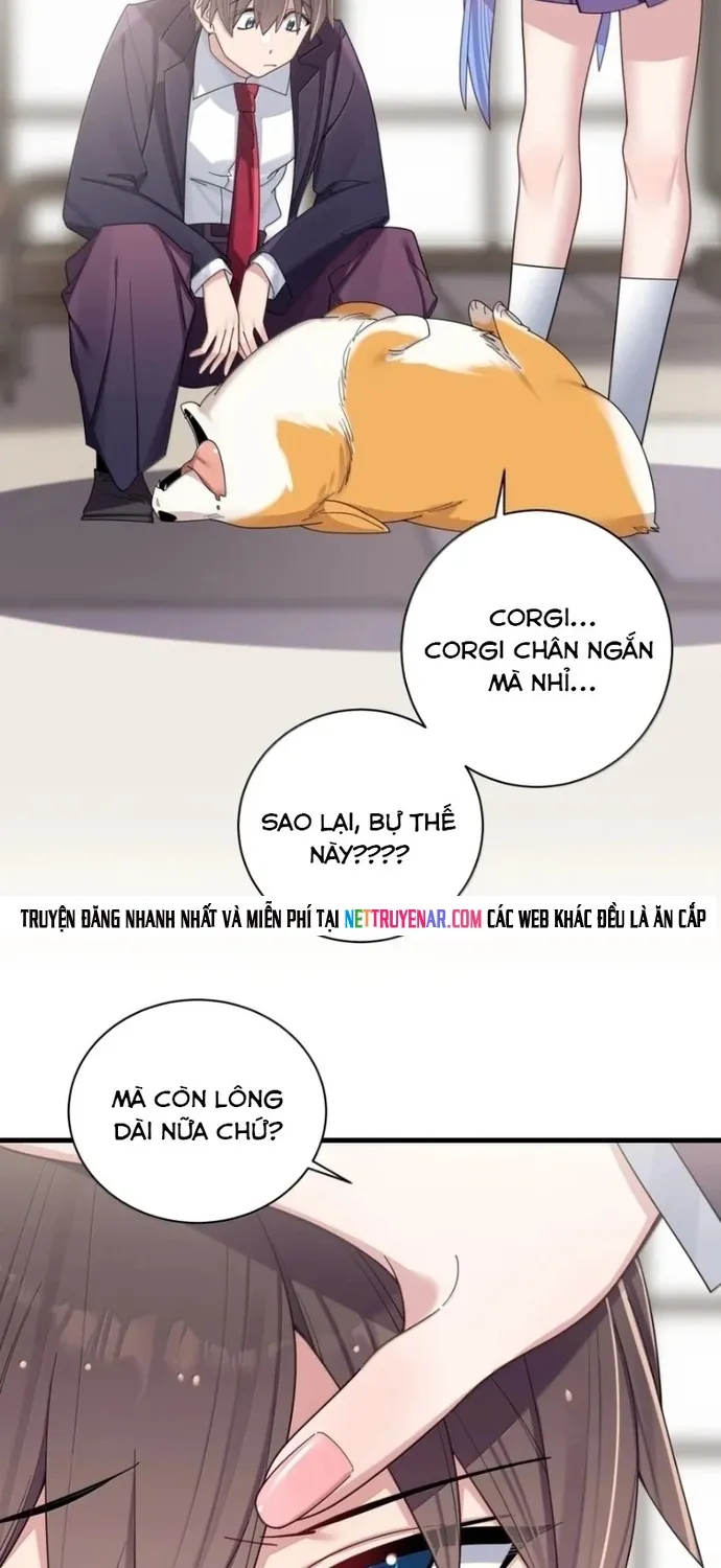 Chương 206 - Trang 22