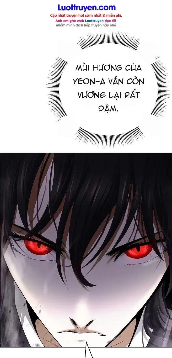 Chapter 242 - Trang 22