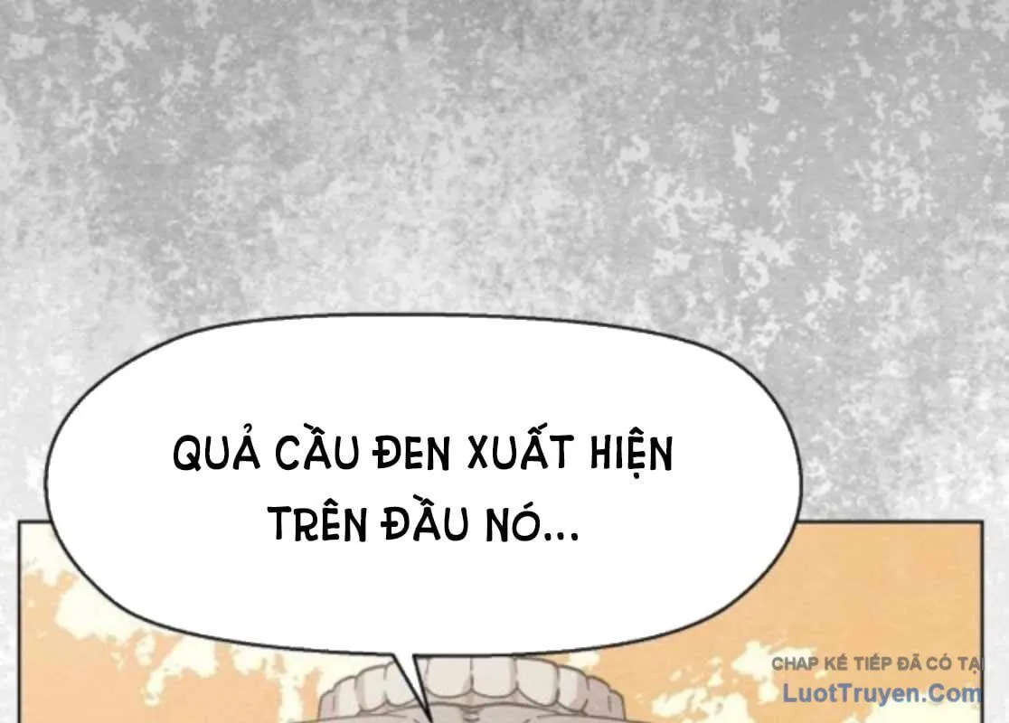 Chương 10 - Trang 231