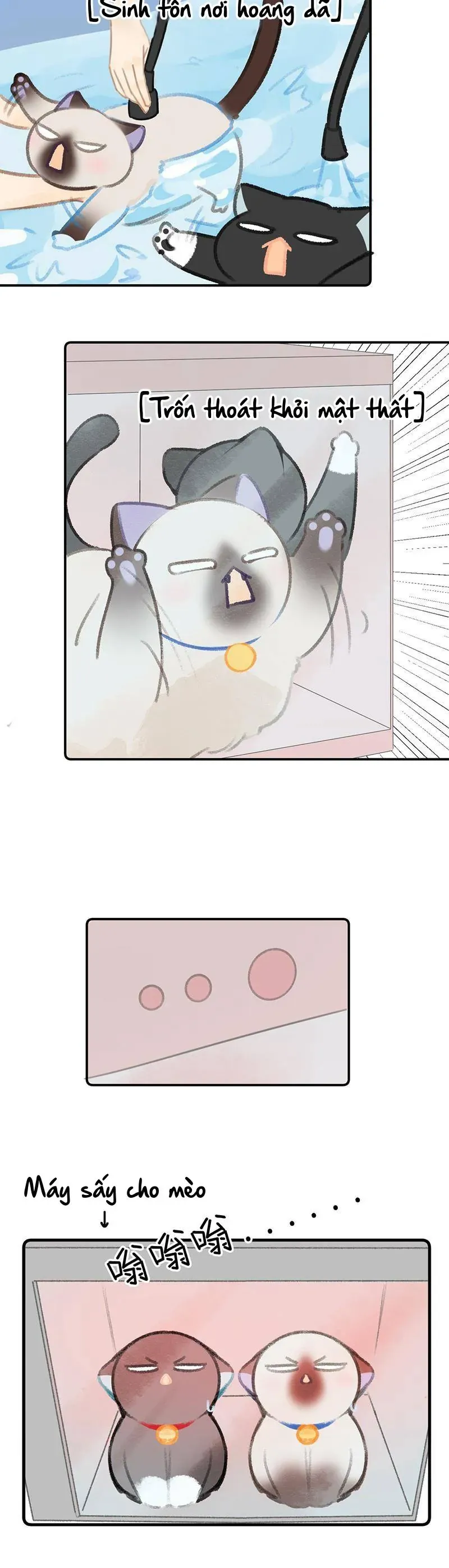 Chương 22 - Trang 10