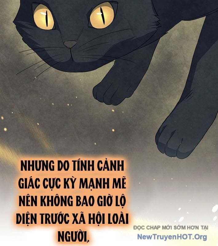 Chương 13 - Trang 68