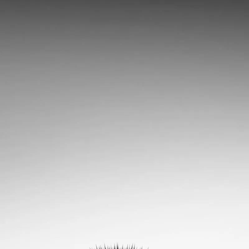 Chapter 3 - Trang 45