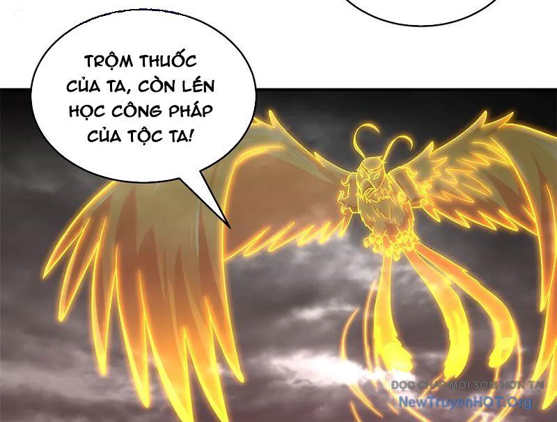 Chapter 186 - Trang 3