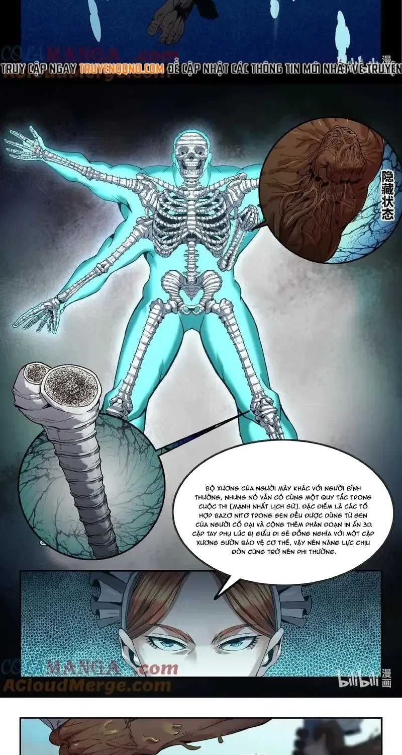 Chapter 331 - Trang 2