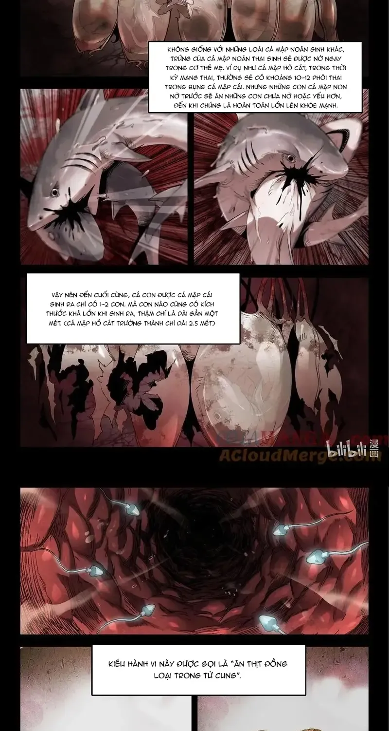 Chapter 352 - Trang 7