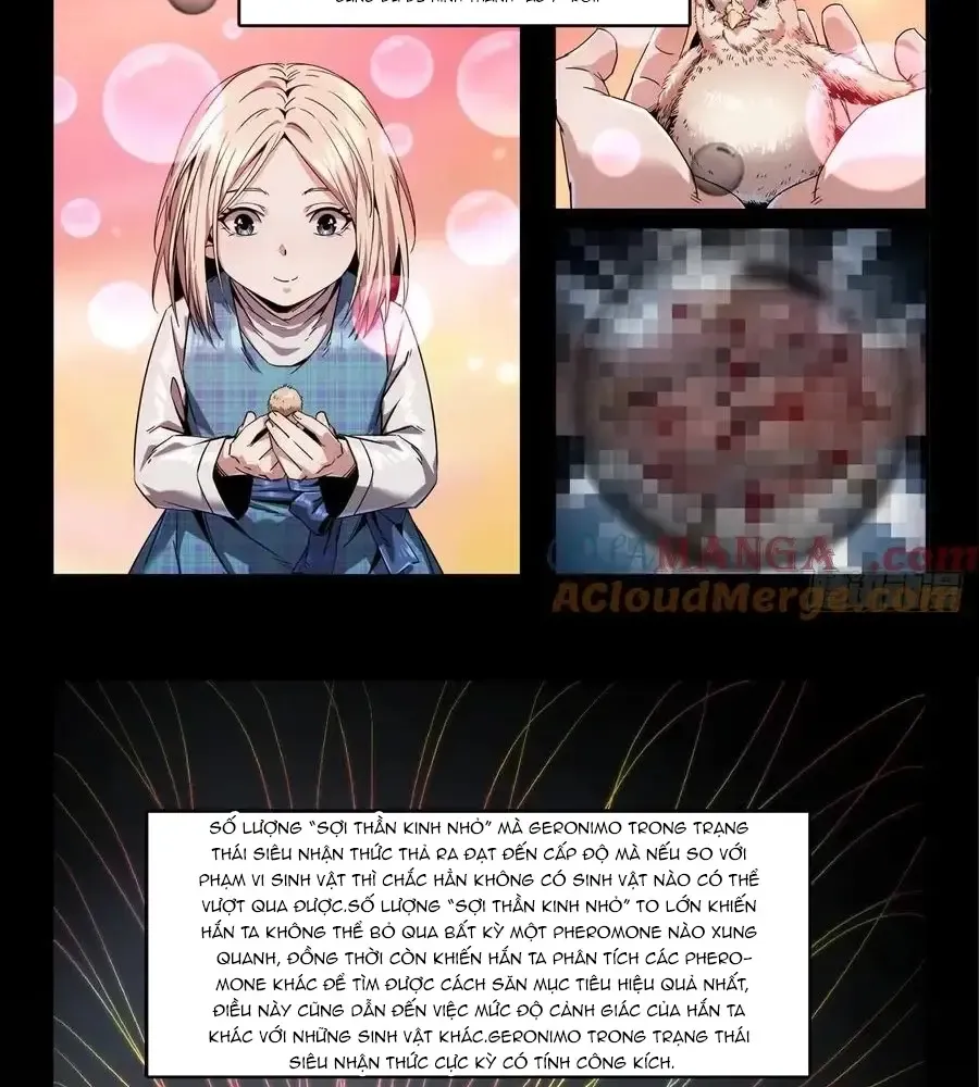 Chapter 355 - Trang 12
