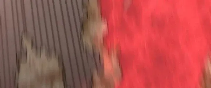 Chương 123 - Trang 85
