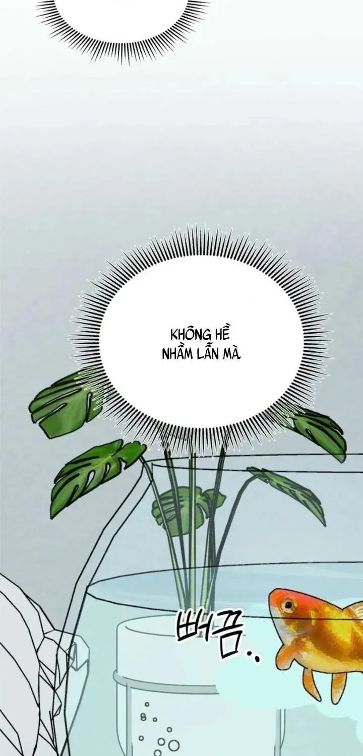 Chương 39 - Trang 22