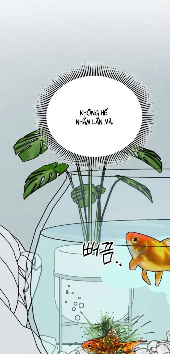Chương 39 - Trang 20