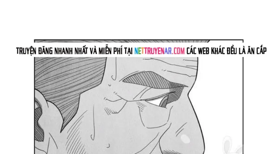Chương 239 - Trang 16