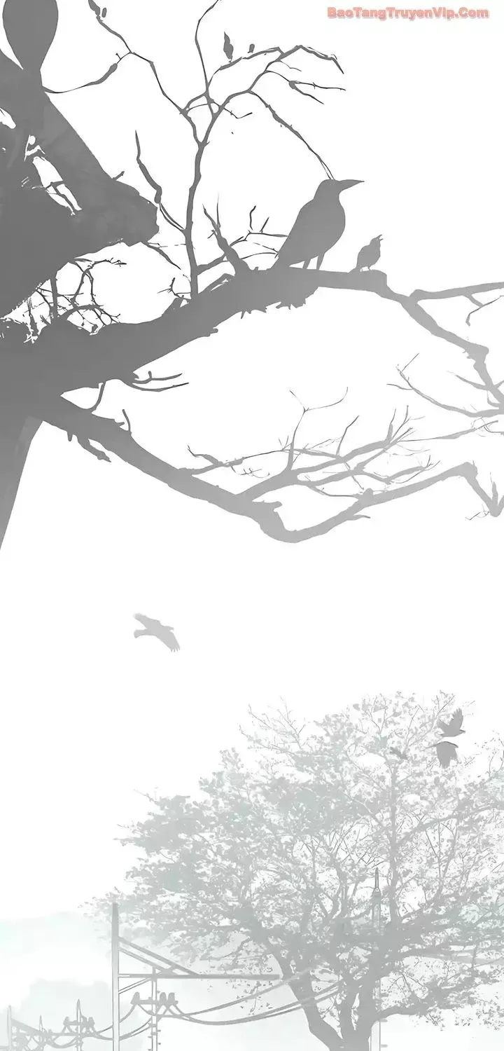 Chương 247 - Trang 37