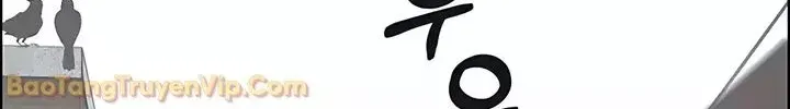 Chương 247 - Trang 42