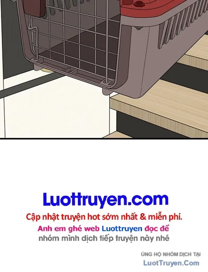 Chapter 304 - Trang 147