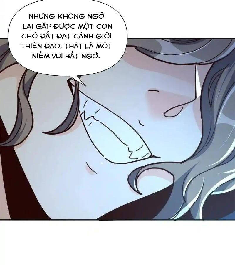 Trang 53