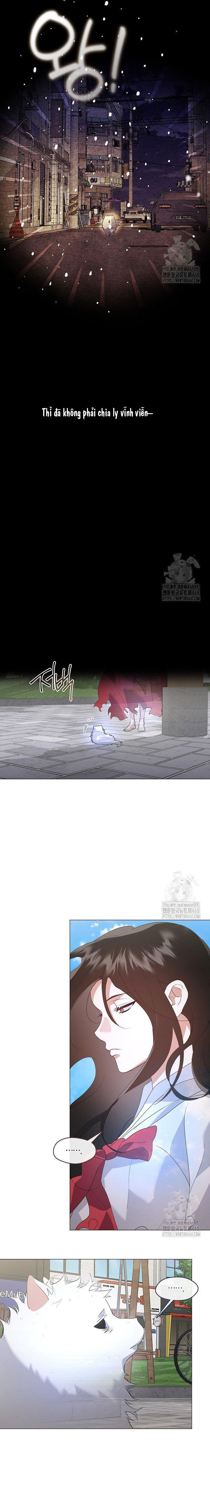 Nhà Hàng Thế Giới Ngầm - Chap 90 - Trang 11