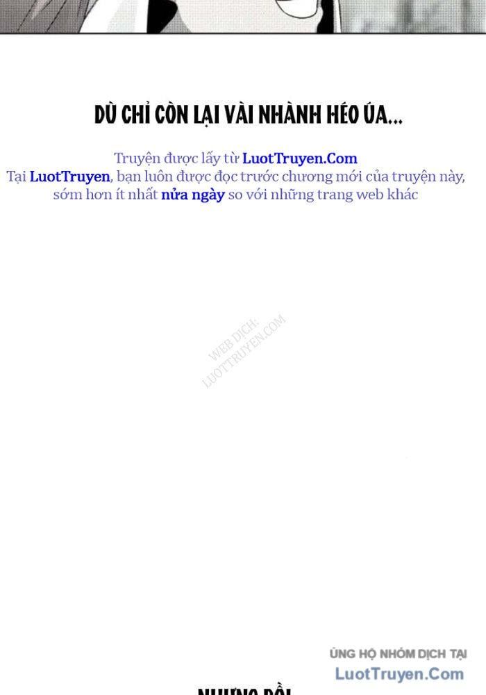 Chương 19 - Trang 7