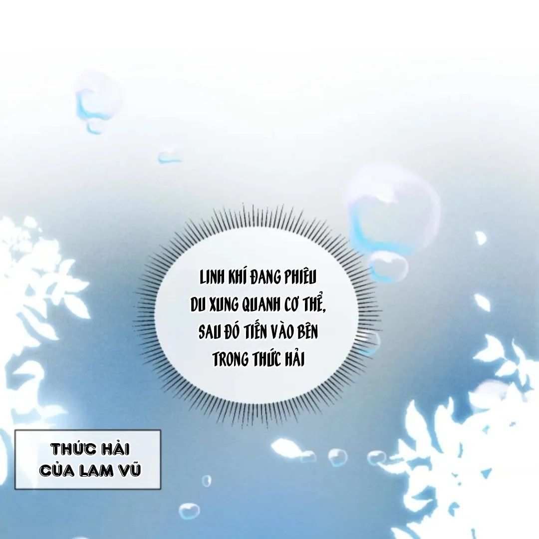 Nhập Hải - Chap 10 - Trang 11