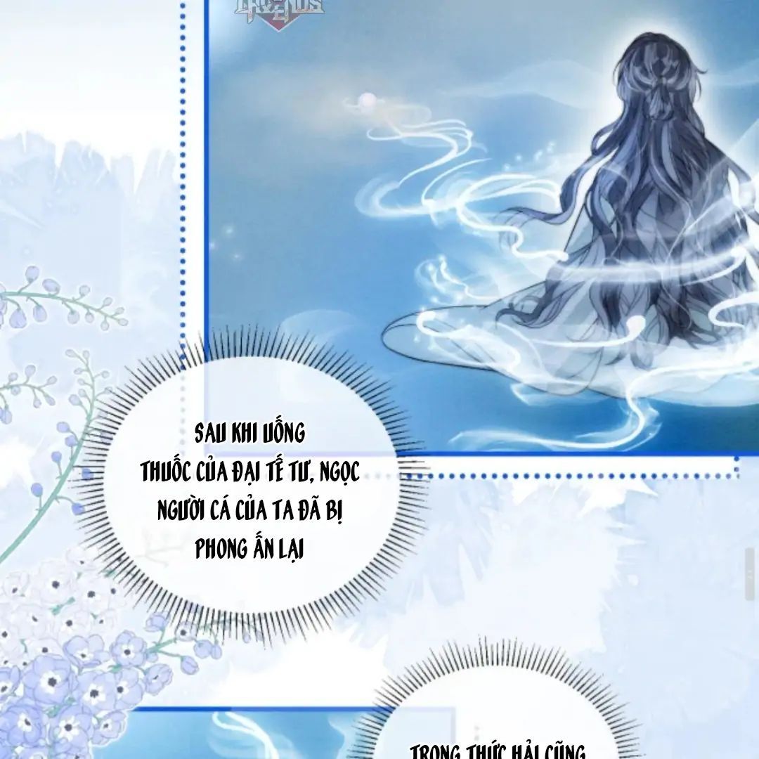 Nhập Hải - Chap 10 - Trang 13
