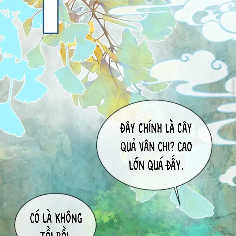 Chương 15 - Trang 19
