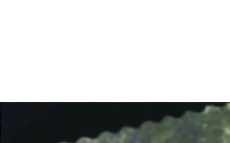 Trang 237