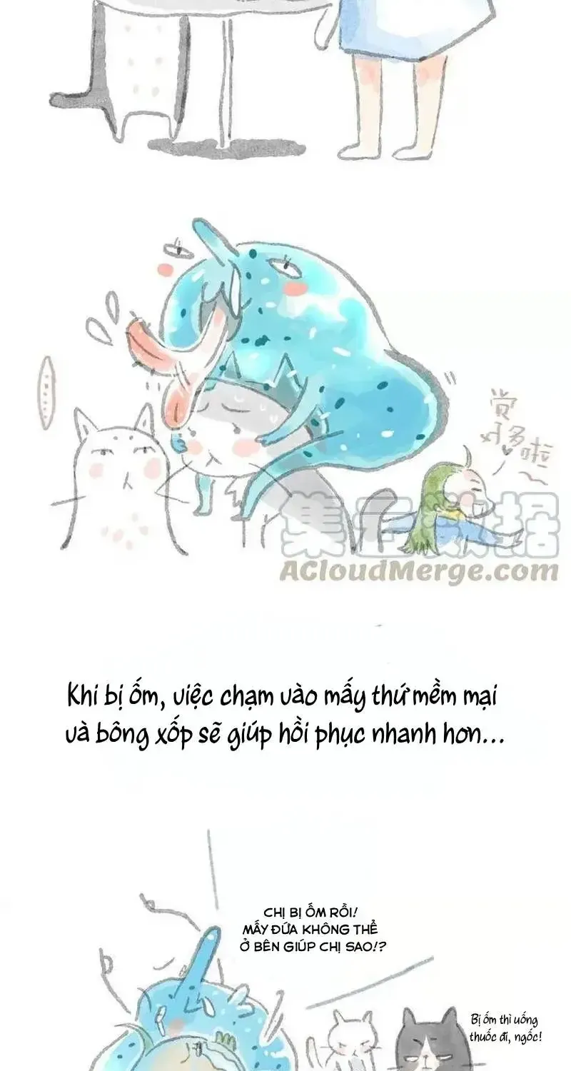 Chương 5 - Trang 5