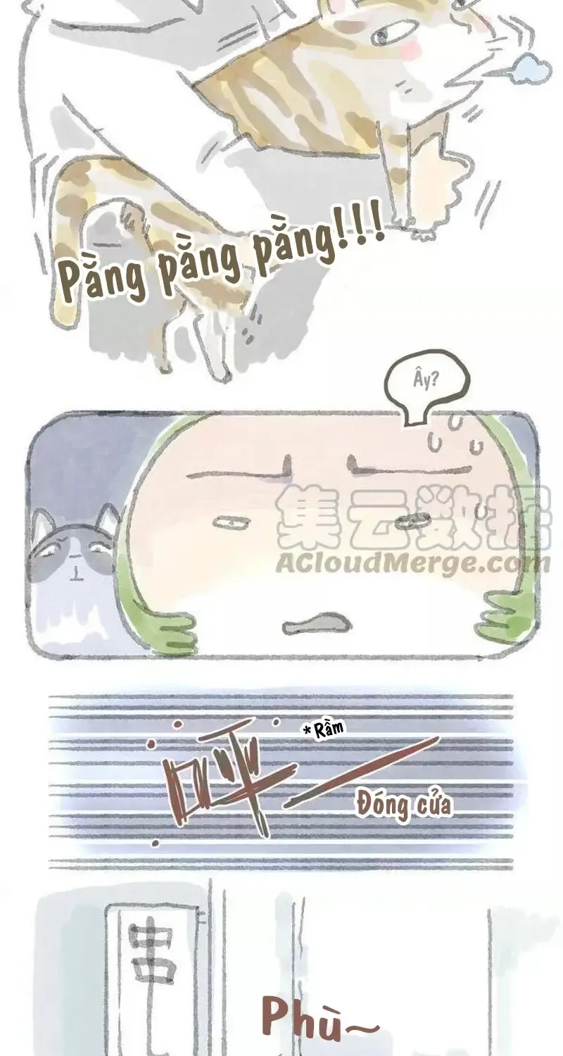 Chương 6 - Trang 5
