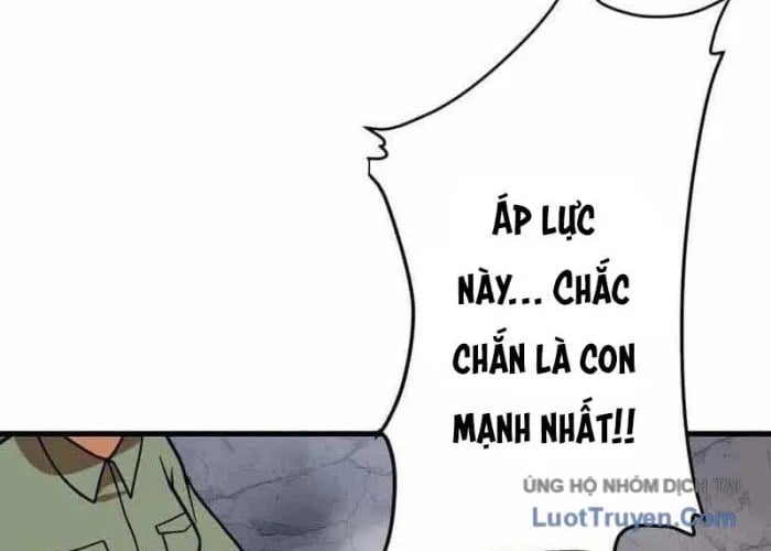 Trang 242