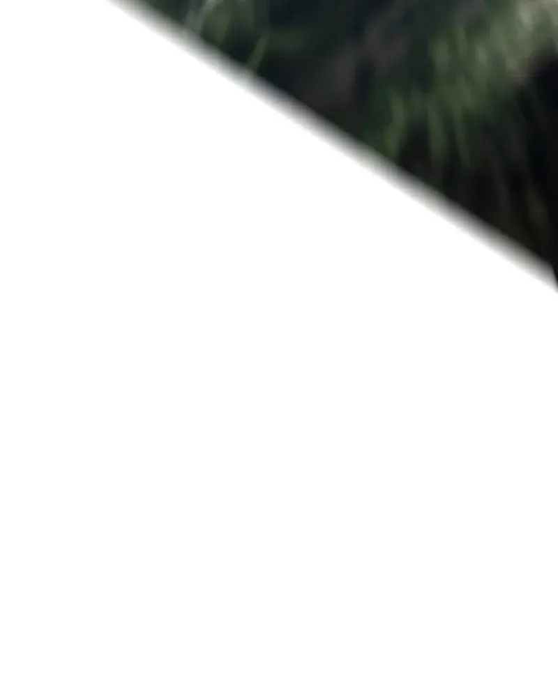 Chương 3 - Trang 161